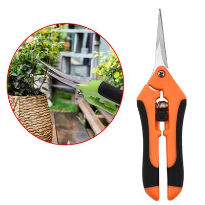 Tijeras de acero inoxidable para jardín, para podar flores, para podar frutas, para podar uvas, para jardinería, de cabeza recta, para podar flores