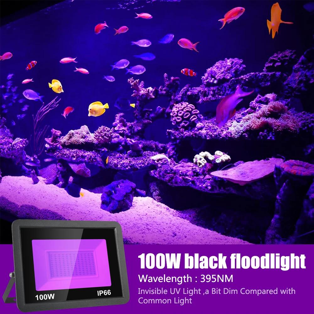 

30W LED UV Black Lights Stage 50W 100W Blacklight Ultraviolet Flood Effect Light for Christmas Halloween Xmas Dance Disco Party EU Plug