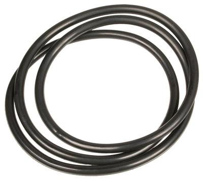 O-Ring Seal Pump Rato 70119-V010210-0000