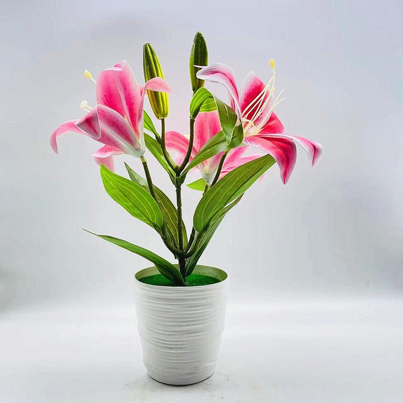 Brownii Lilium Var Viridulum Baker Potted Plant For Living Decor Room