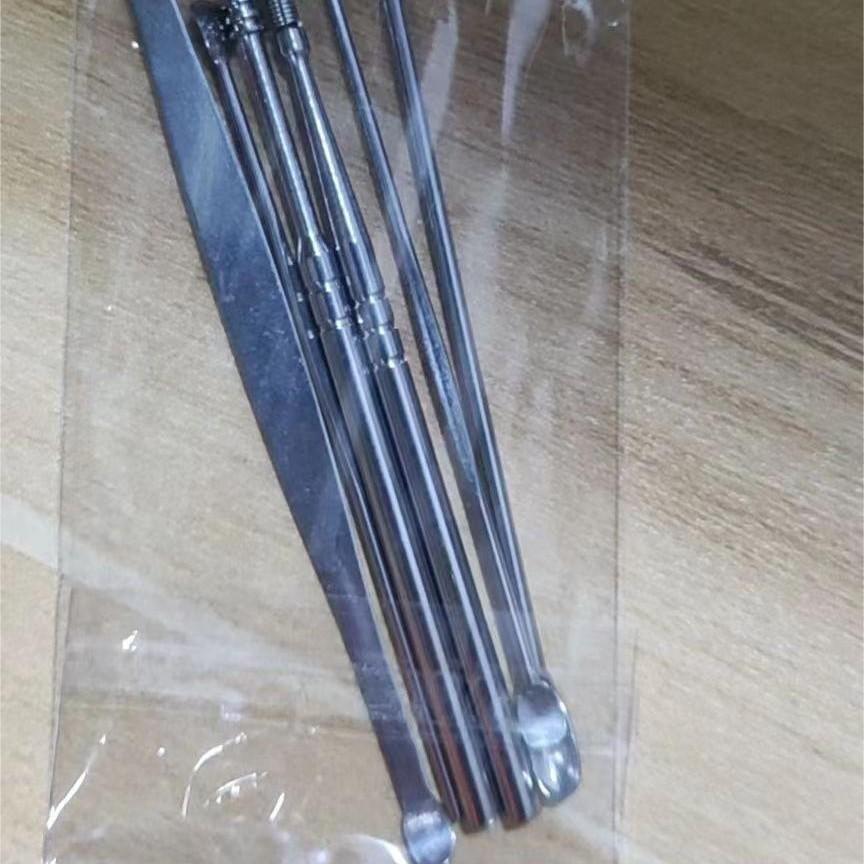 Stainless Steel Ear Cleaning Tool Set for Adults