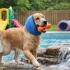 Noise Reduction Dog Ear Muffs Hearing Protection Pet Bathing Cap Pet Calming Hood  Force Dry
