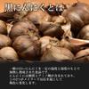 Black Garlic Fermentation Maker Maximum Fermentation Capacity 2kg Homemade Heater Black Food You Can Make At Easy Aging of Black Handmade Easy