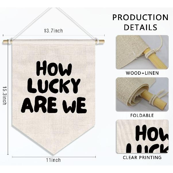 How Lucky Are We Banner Pennant Wall Art Decor Hanging for Kids Boys Room Nursery Playroom Decor, Cute Play Room Decorations, 15x11in