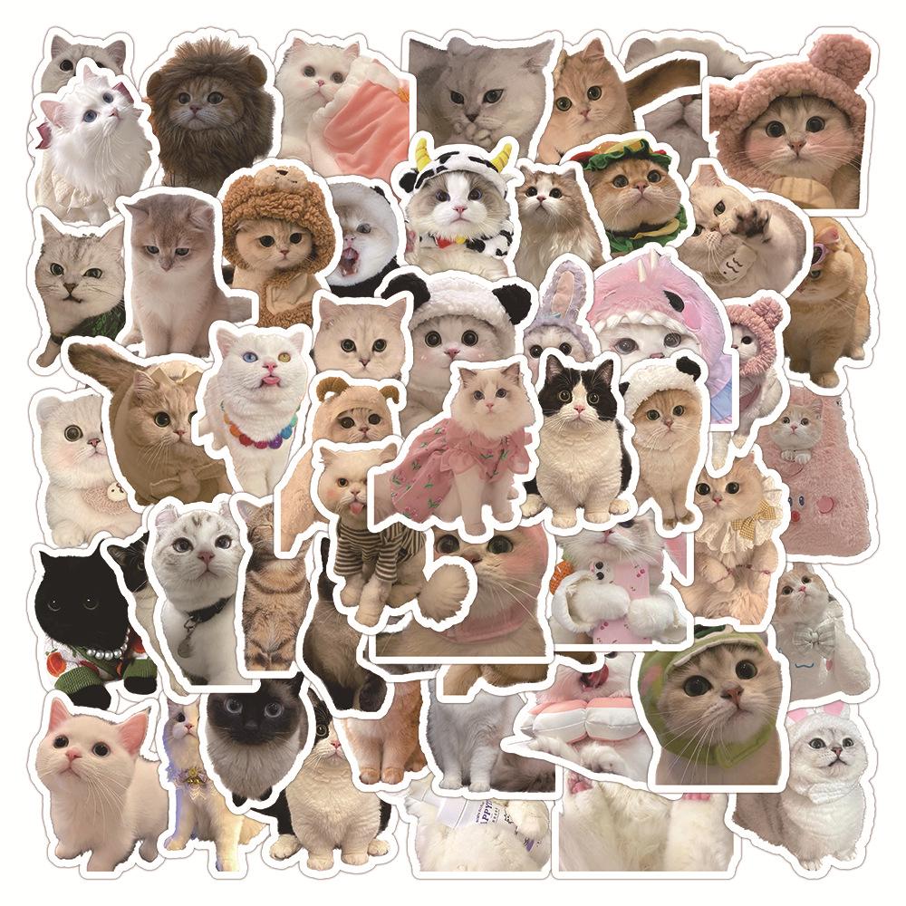 60PCS Realistic Cartoon Cat Stickers - Cute, Waterproof Decoration for Journals & Desktops