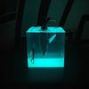 Creative Whale Ornaments Ocean Cubes Resin Luminous Ornaments Handcrafted Artworks Home Desktop Decorations Birthday Gifts