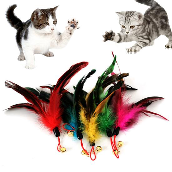Kätzchenspielzeug, einfach zu installieren, nicht leicht zu zerbrechen, harmloser Kätzchen-Teaser, Glockenfederkopf für Haustiere