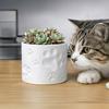3D Printed Cat Paw Print Flower Pot, Cute Small Plant Pot for Desk, Animal Theme Planter for Home Office, Gift for Cat Lovers