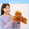 Highland Cow Plush Toy With Pp Cotton Filling For Kids And Adults