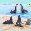 Charming Sea Lion Animal Figures For Creative Micro Landscape Ocean Sand Beach Scene Resin Craft