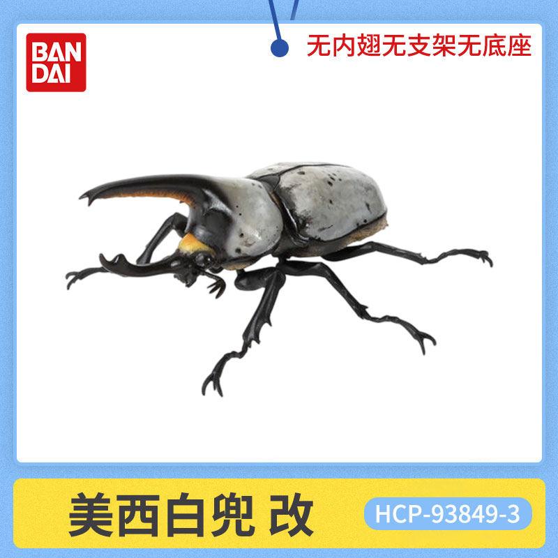 Beetle Insect Model Articulated Realistic 10 Joints Desktop Decor Ornament Chalcosoma Chiron Dynastes Grantii