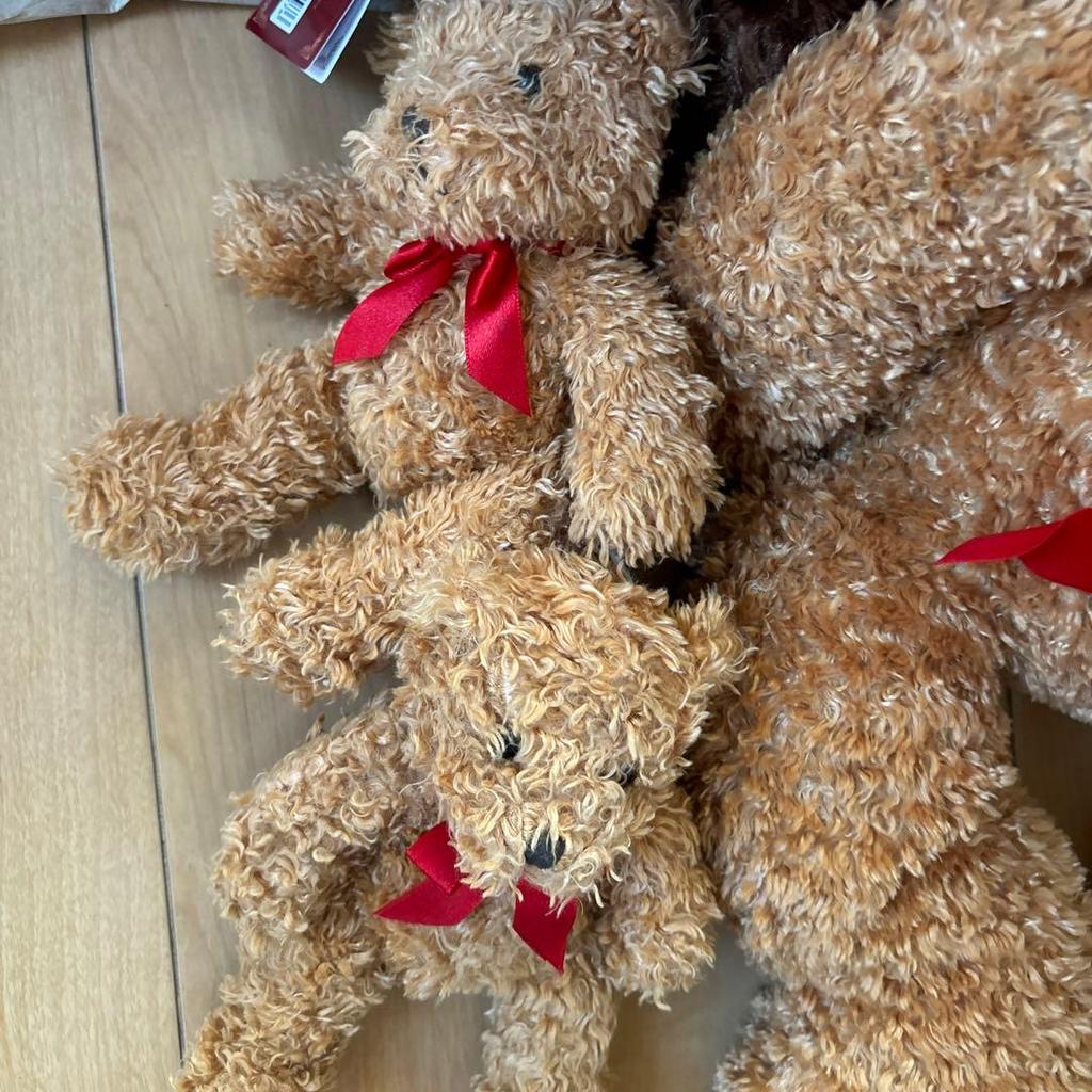 [USED] Teddy bear, Lovely bear, Rose bear, Teddy bear