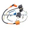 110cc Dirt Bike/ATV Zündspule & Spannungsregler Kit