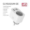 European Standard 220V 16A Smart Socket with Dual USB, Alexa Control, Individual Remote Switching