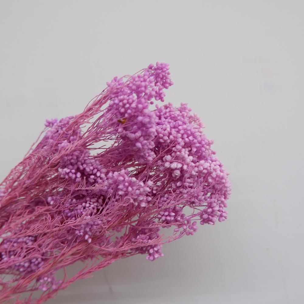 Eternal Flower Bleaching Millet Flower, Preserving Flowers, Rice Flower Eternal Flower Dried Flower Rice Grass Home Decoration Bouquet Accessories
