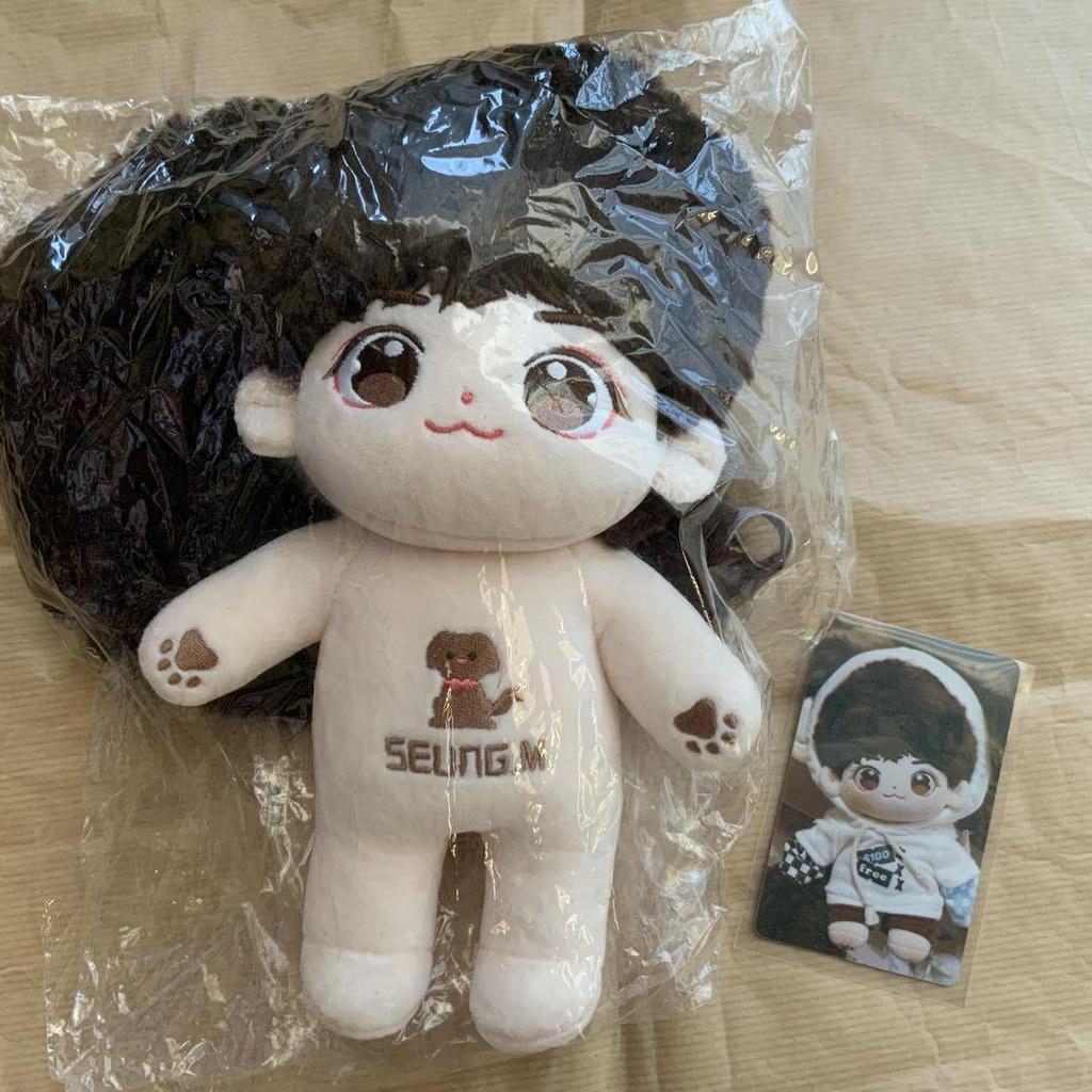 [USED] StrayKids Seungmin Master Plush Toy, 20cm Skeleton