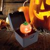 Spieluhr für Kinder Scherz-Spieluhr Halloween Musikalische Hülle Feiertagsdekoration Für Erwachsene Sammler Ausstellungsstück Kinder Freunde