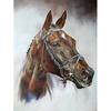 DIY Horse 5D Diamond Painting Cross Stitch Full Round Rhinestone Diamond Embroidery Animal