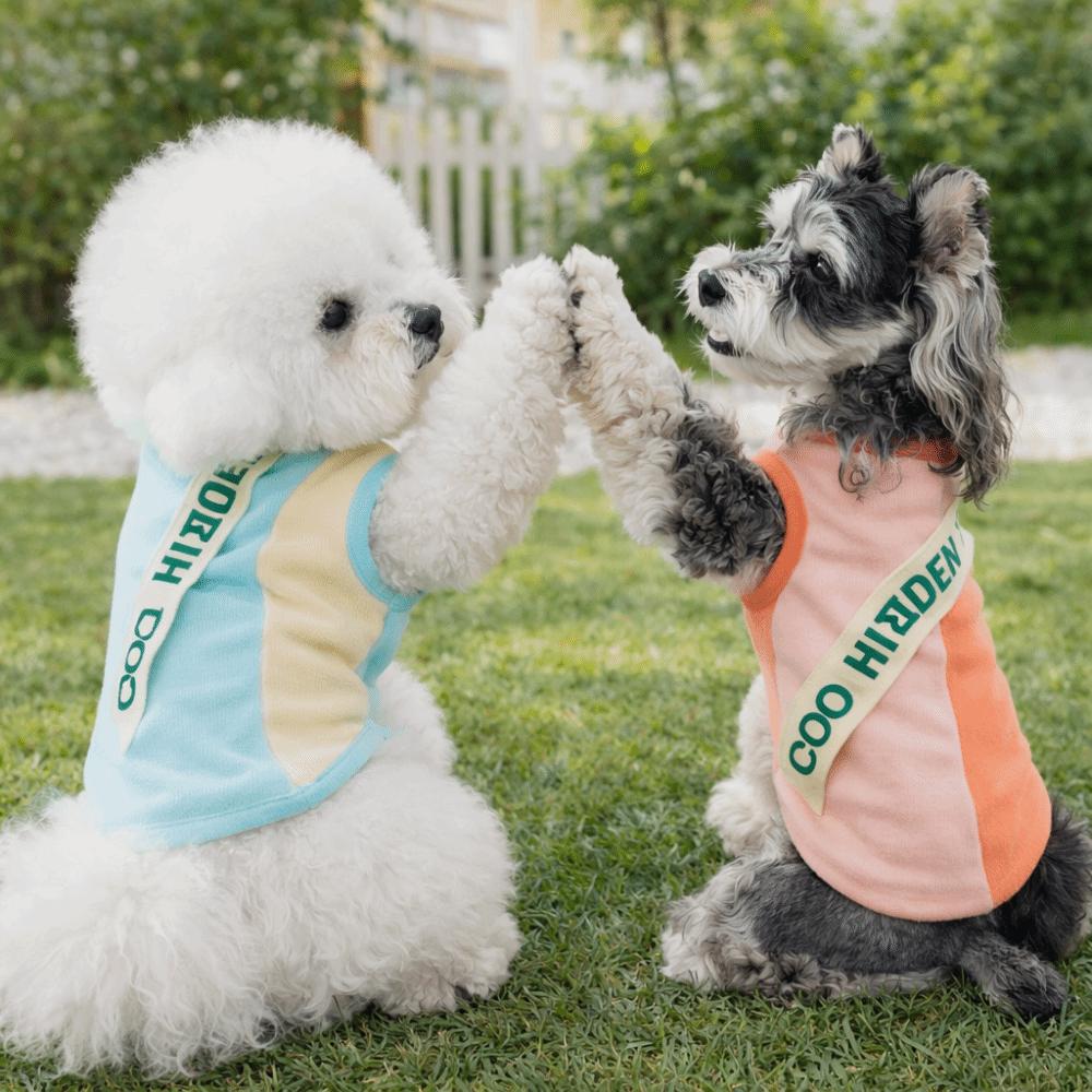 Super Stretchy Dog Sport Vest Color Blocked Breathable Mesh Pet Short Shirt Soft Quick Drying Dog Sleeveless Clothes