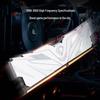 Netac Shadow II Series DDR4 Gaming Desktop RAM