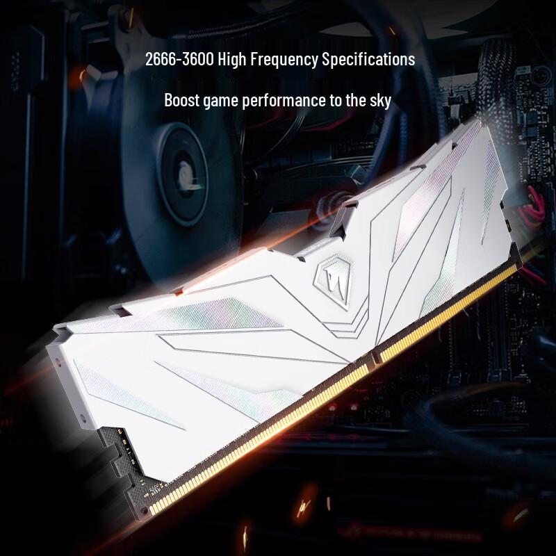 Netac Shadow II Series DDR4 Gaming Desktop RAM
