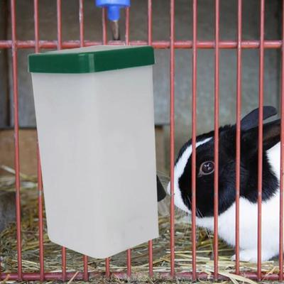 New Cute and Convenient Pet Automatic Drinking Fountain for Small Animals - Rabbit, Hamster, Guinea Pig - 1 Piece Water Dispense