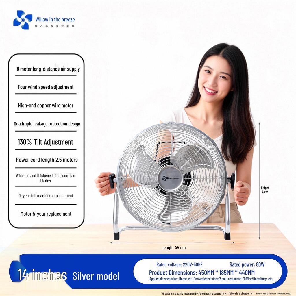 Wind Light Yang High-Power Industrial Electric Floor Fan for Home and Restaurant Use