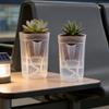 5/1Pcs Small Self Watering Pots Mini Clear Plastic Planters with Plant Label for Flowers Indoor Outdoor Cuttings Seedlings