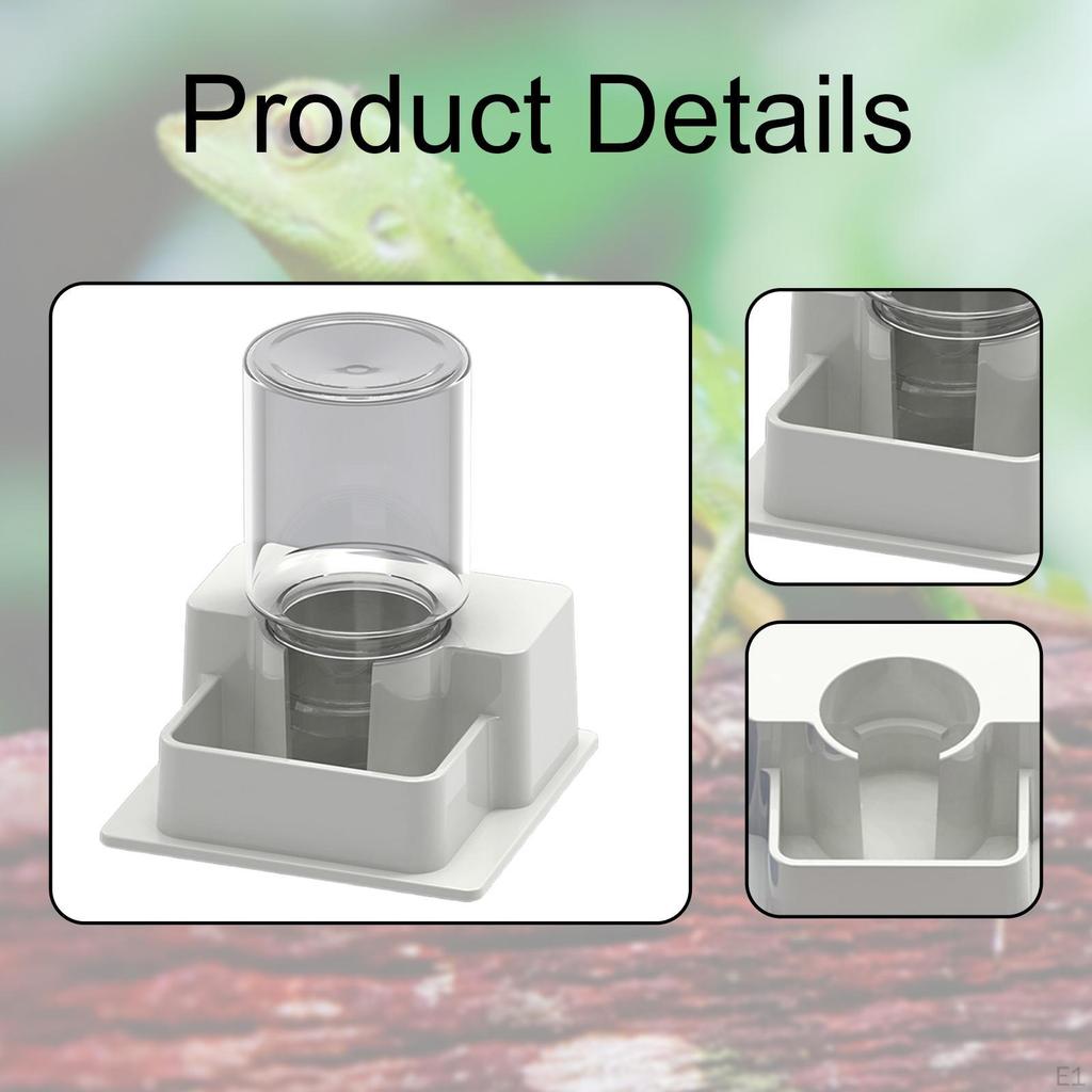 Aquarium Water Container with Automatic Drinking Mechanism and Bottle for Geckos Tortoise