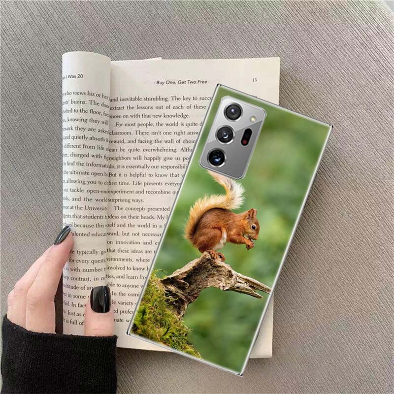 Forest Squirrels Foraging For Food Phone Case For Samsung Galaxy S25 Edge S24 S23 FE S22 S26 Ultra S21 S20 S10 Plus Capa Soft