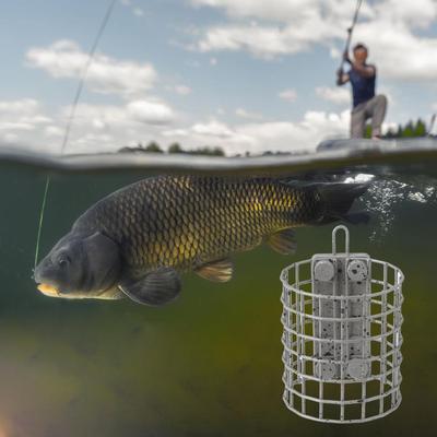 Stainless Steel Fishing Feeder Carp Catfish Bait Nesting Tool, Durable Feeder for Lakes Ponds Outdoor Rivers