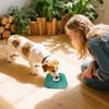 Easy To Clean Dog Licking Mat, Non-slip Slow Feeding Mat, Free Silicone Mat, Interactive Dog Toy