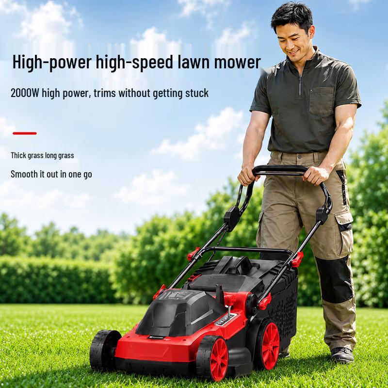Longlida Cordless Hand-Push Electric Lawn Mower CN plug (adapter included)