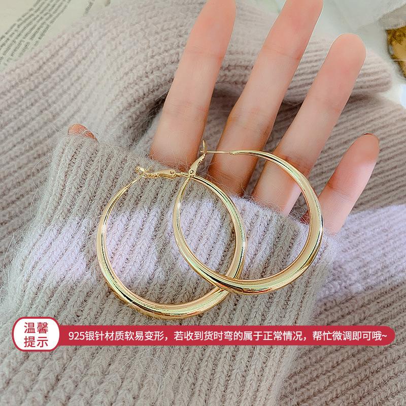 Metal Design Earrings Irregular Circle Geometric Stud Earrings Women's Exaggerated Niche Cold Wind Earrings