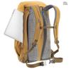 Рюкзак Deuter Walker 24 chestnut/umbra (3812921-6616)