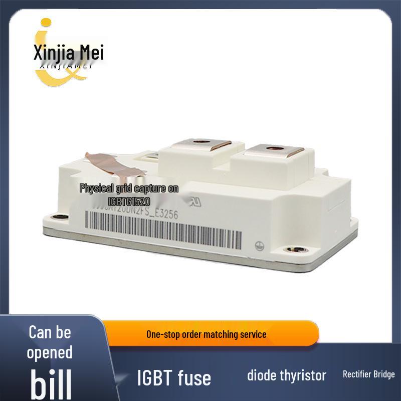 

BSM200GA120DN2FS_E3256 BSM200GA170DLC IGBT Module - New Stock Available BSM200GA170DLC