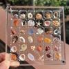 1Pc Rock Collection Box For Bead Nail Jewelry Acrylic Magnetic Seashell Storage Box 36/64 Grids Small Craft Organizers Container