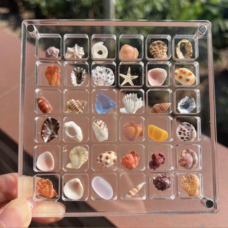1Pc Rock Collection Box For Bead Nail Jewelry Acrylic Magnetic Seashell Storage Box 36/64 Grids Small Craft Organizers Container