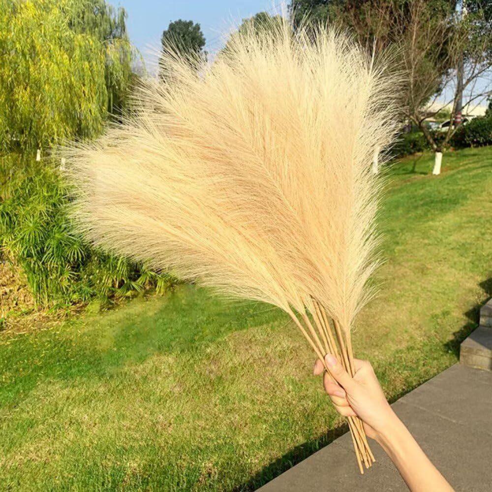 24PCS Brown Faux Pampas Grass White, 56cm Short Artificial Pompous Grass Floral Fake Pompas Grass Branches Vase Filler