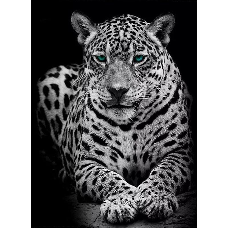 

DIY Алмазная картина Животные Вышивка крестиком Полный круглый дрель Алмазная вышивка Продажа Домашний Декор Подарок Full Round 20x25CM