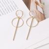 Metal Tassel Earrings for Women Long Circle Dangle Earrings Geometric Round Drop Earrings Brief Jewelry pendientes