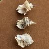 3Pcs, Natural Shell Conch Pendant, Ocean Style Irregular Charms for Jewelry Making DIY Necklace Accessories, Creative Home Decor Supplies