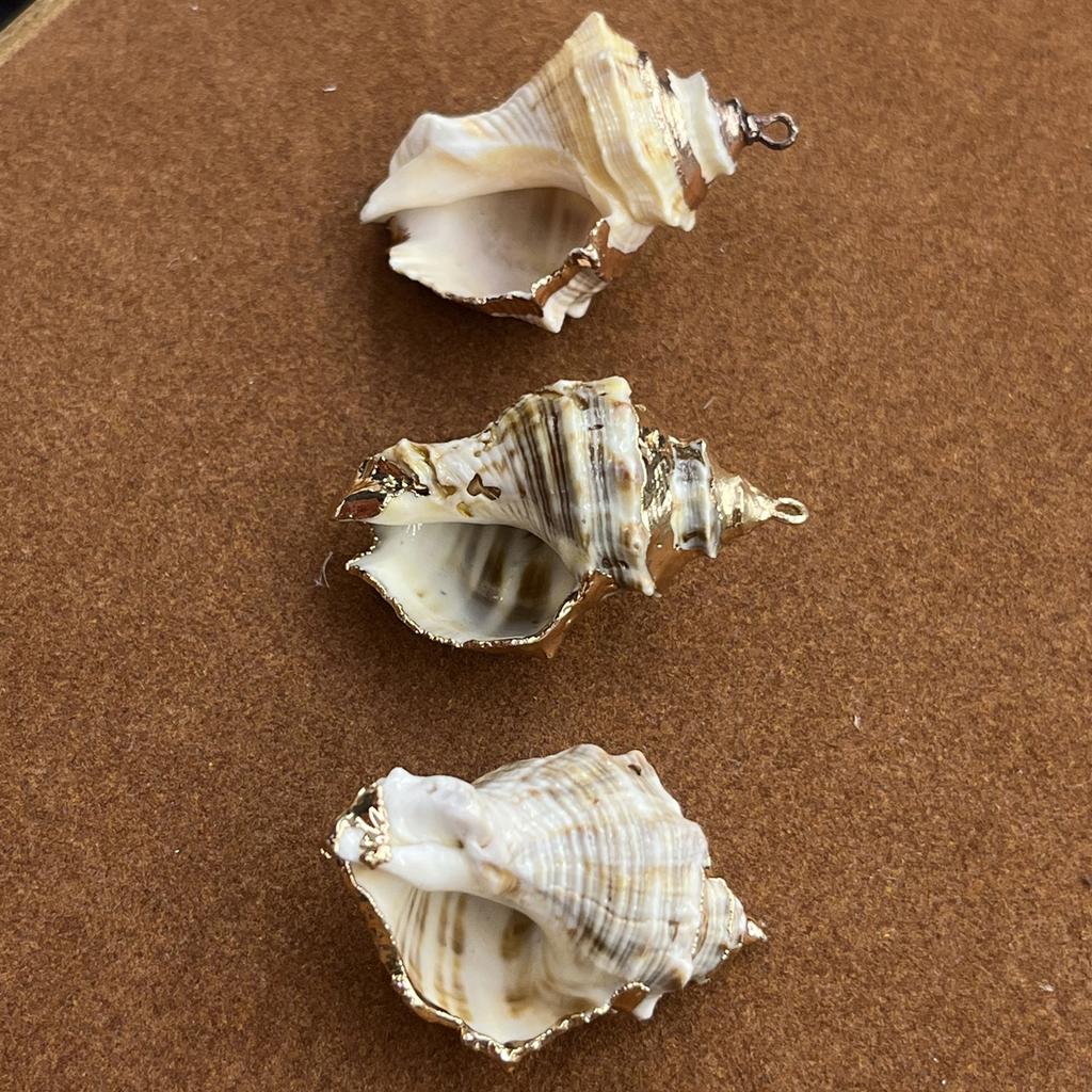 3Pcs, Natural Shell Conch Pendant, Ocean Style Irregular Charms for Jewelry Making DIY Necklace Accessories, Creative Home Decor Supplies