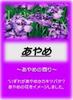 Asahi Bath Salts Bath Cosmetics Iris 2.5kg