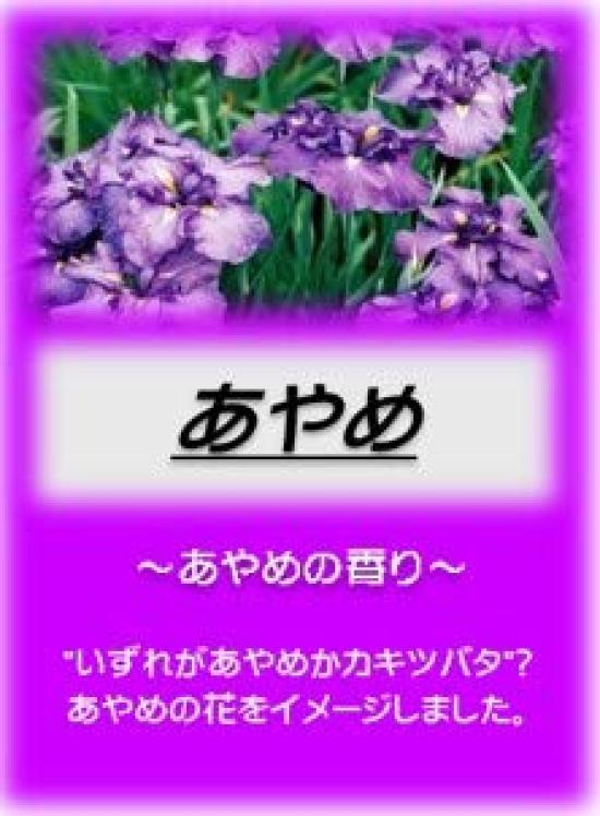 Asahi Bath Salts Bath Cosmetics Iris 2.5kg
