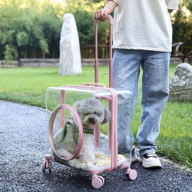 Trolley Case Cat Bag Large Capacity Two Cats Outdoor Travel Transparent Trolley Case Medium Dog Outing Bag