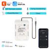 Graffiti WiFi Smart Power Temperature Switch with RF433, Remote Voice Alexa Control.