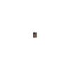 FASIO Liquid Eyeliner 02 Brown 0.4mL