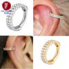 G23 Titanium Daith Cartilage Earrings 16G Helix Nose Septum Piercing Conch Hinged Clicker Body Jewelry Ear Ring Zircon