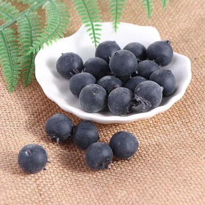 Artisanat Modèle de Fruit Bleu Fête Jardin Bricolage Simulation Myrtille Fruit Faux Fruit Simulation Fruit Décoration Maison Myrtille Artificielle